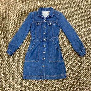 TopShop Denim Dress